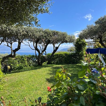 Hotel Sorrento Olive Tree Garden Exterior foto