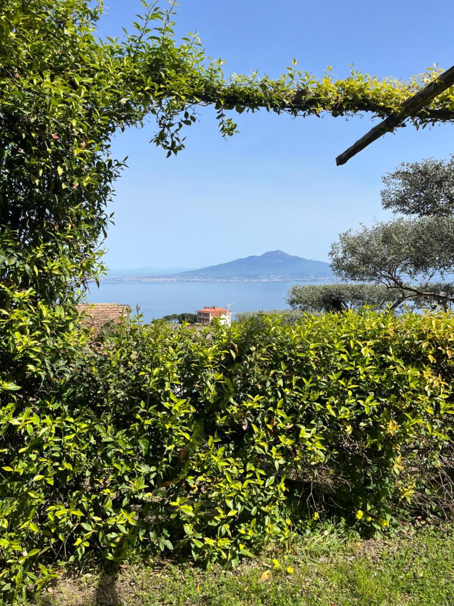 Hotel Sorrento Olive Tree Garden Exterior foto